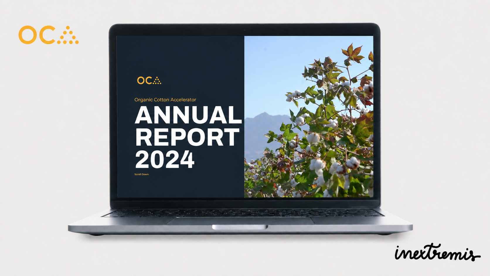 Presentation of Organic Cotton Accelerator’s 2024 online annual report.